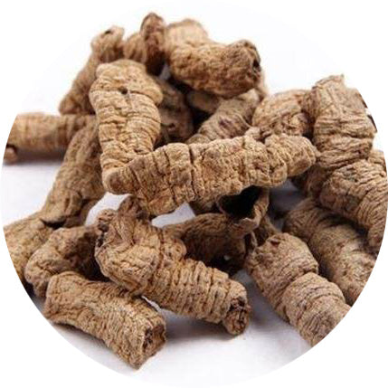 Morinda Root (Ba Ji Tian)