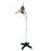 The Nova Moxa Lamp